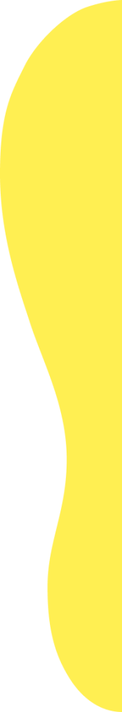 耳の形の画像