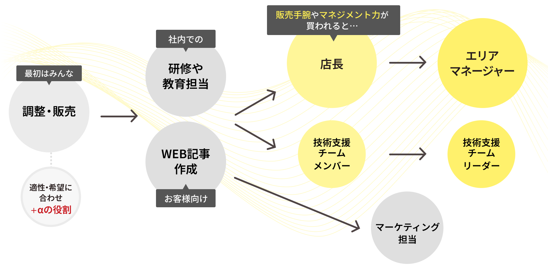 キャリアパスの図
