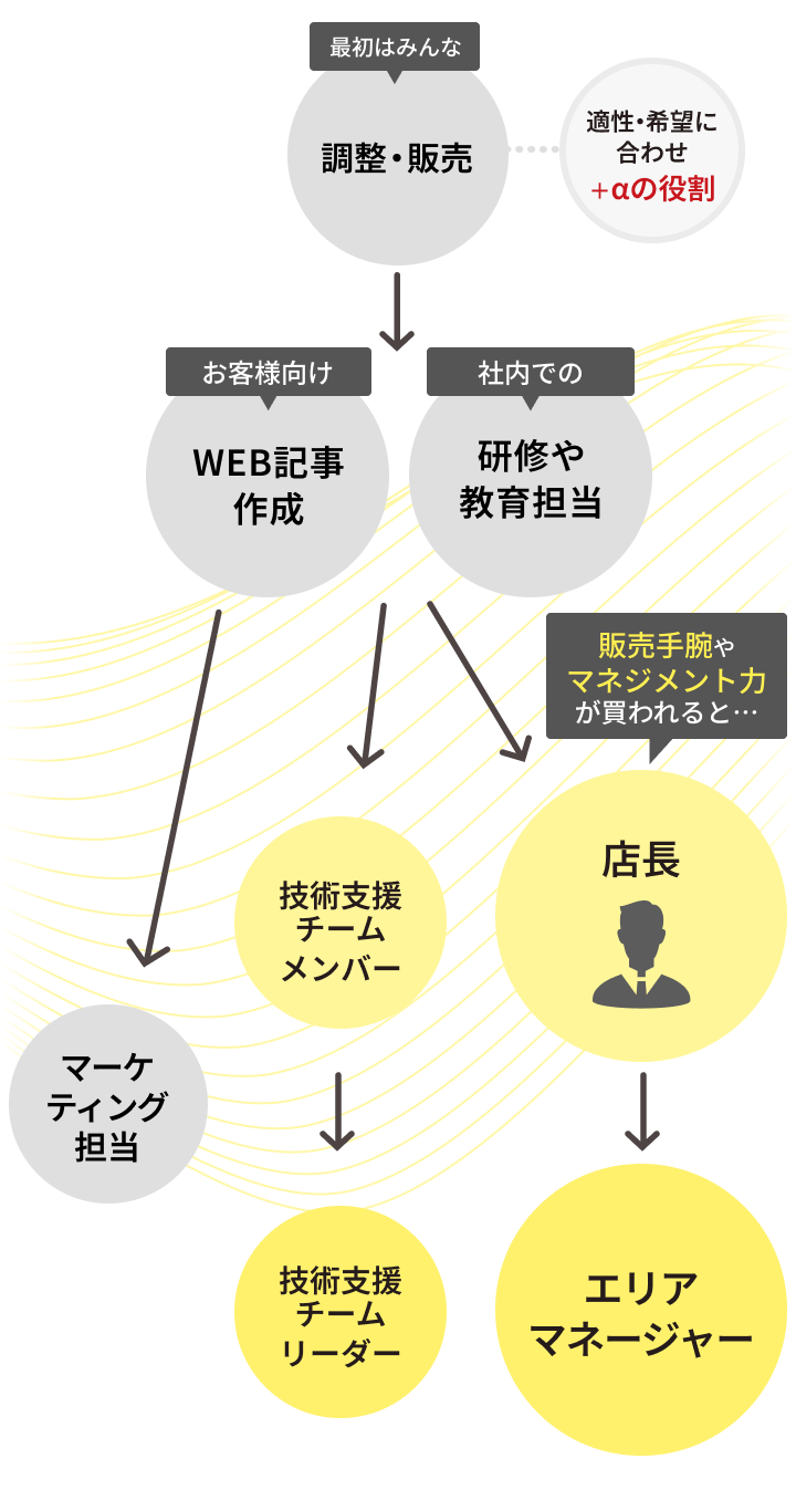 キャリアパスの図