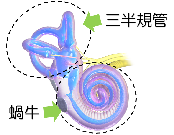 メニエール病が原因の難聴 基礎知識と対応した補聴器 補聴器専門店プロショップ大塚 認定補聴器技能者運営
